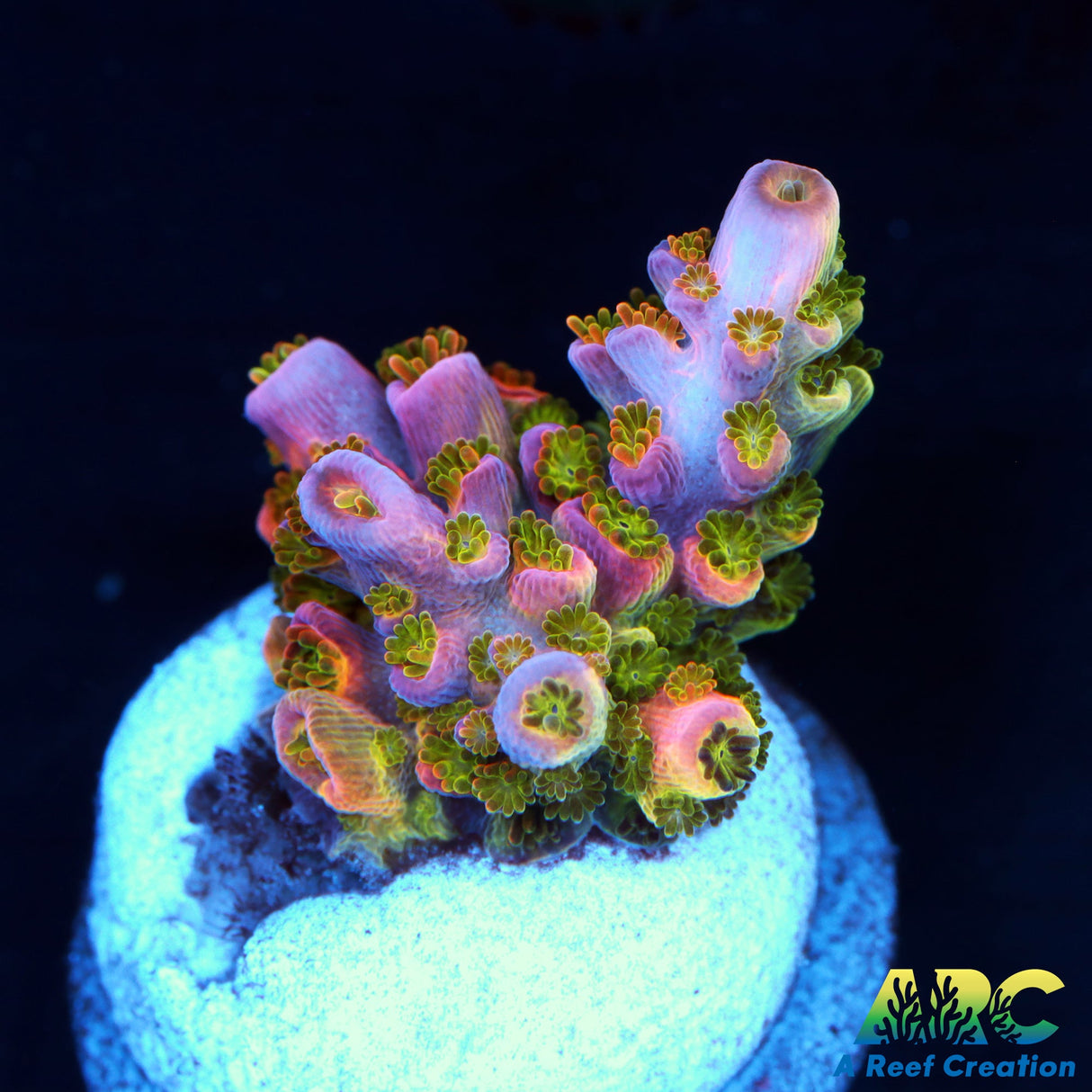 Sanjay's Wrecking Ball