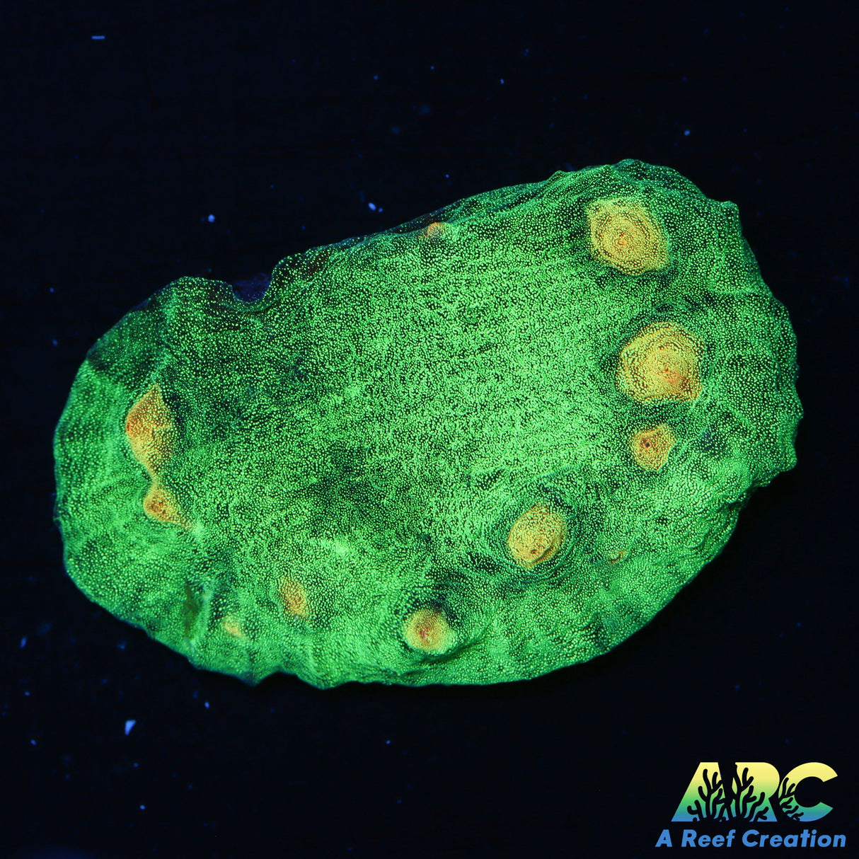 Space Invader Chalice