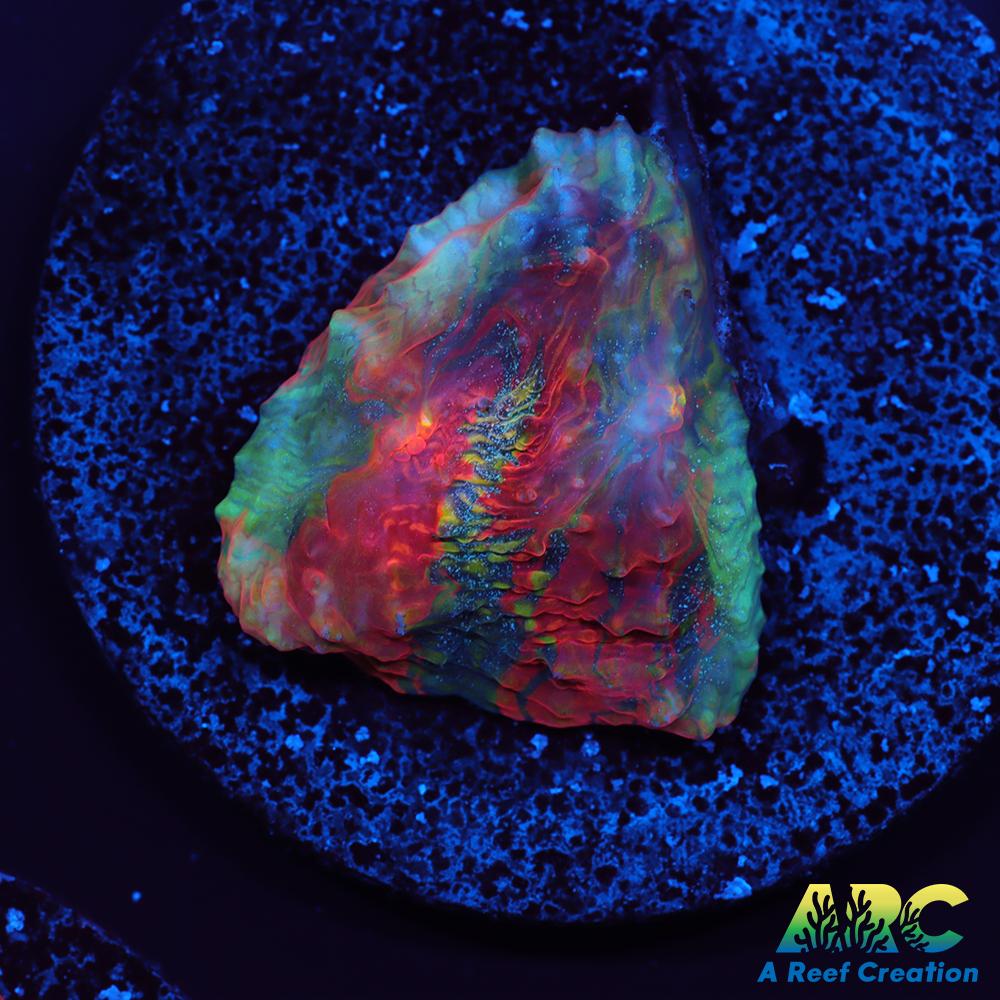 OG Trops Overdose Chalice