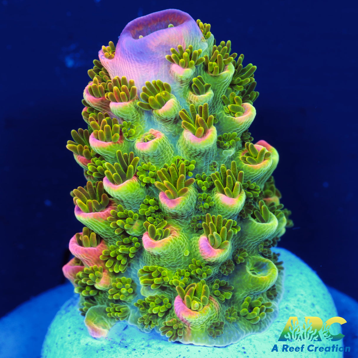 Sanjay's Wrecking Ball Acro