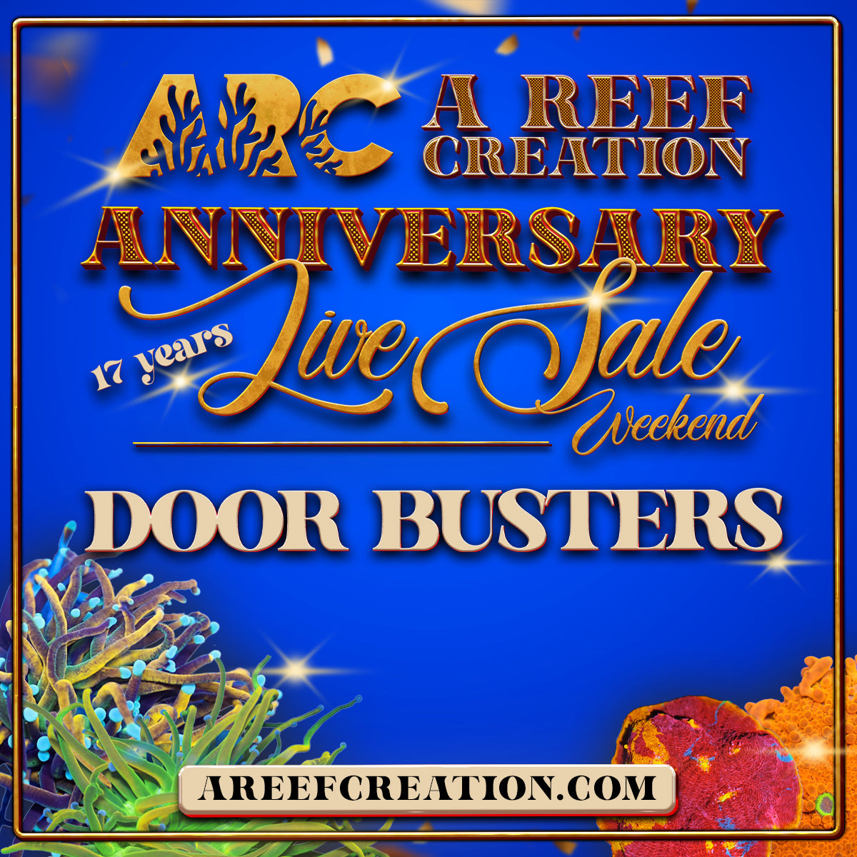 DOOR BUSTERS – A Reef Creation