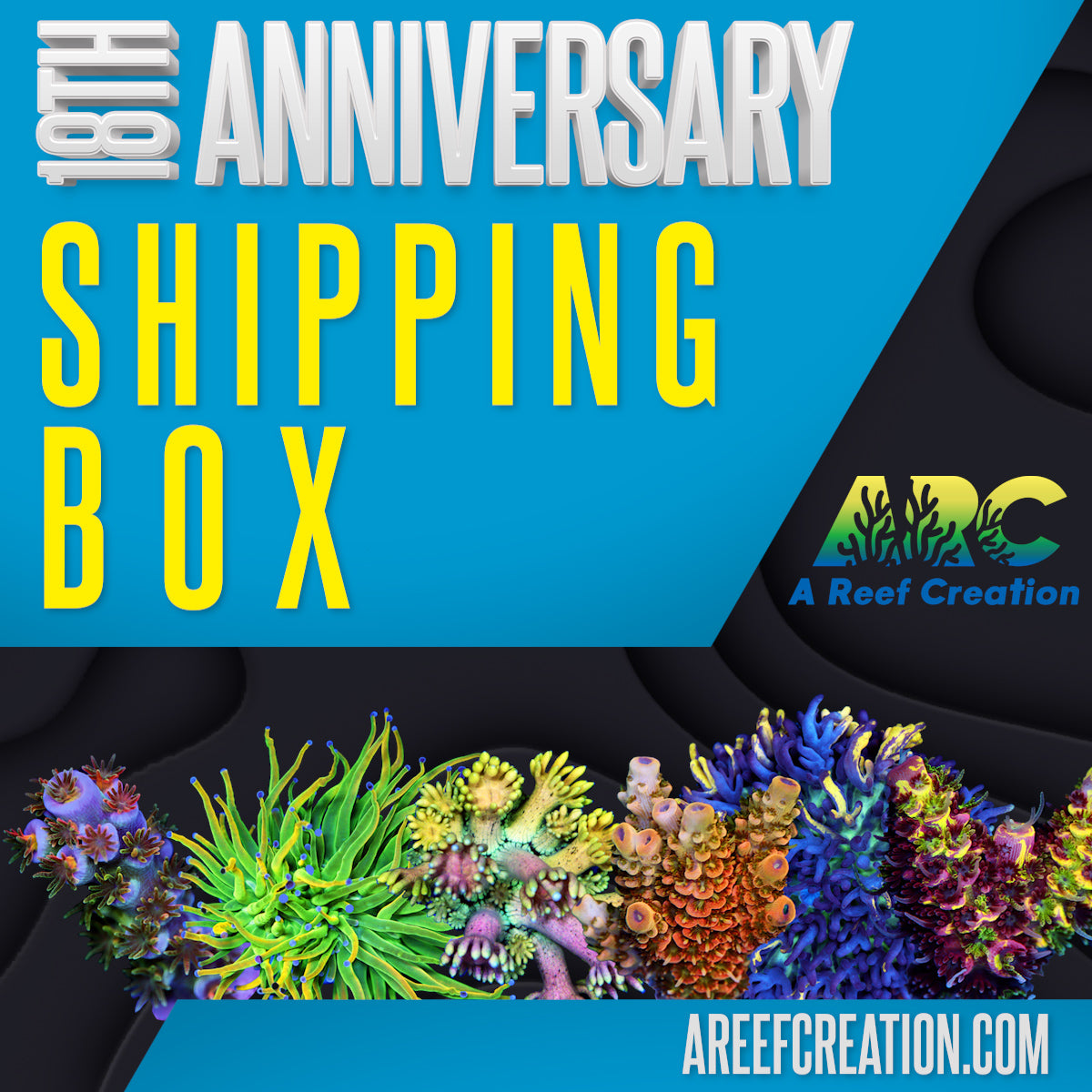 Shipping Box