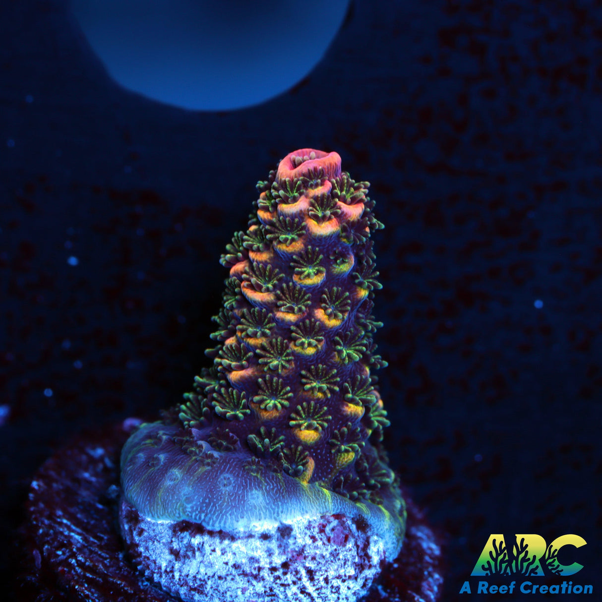 ARC Rainbow Spath