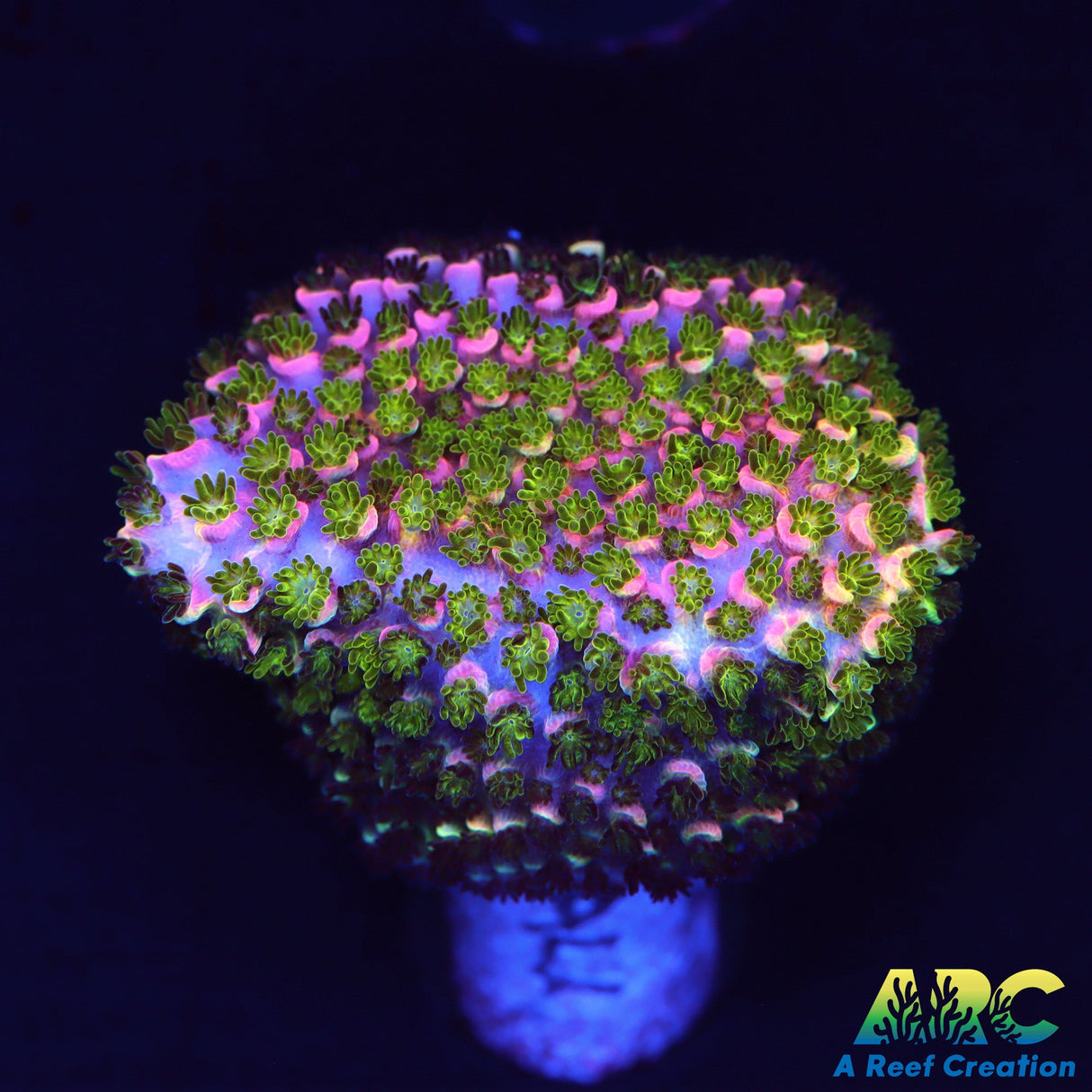 Sanjay's Wrecking Ball