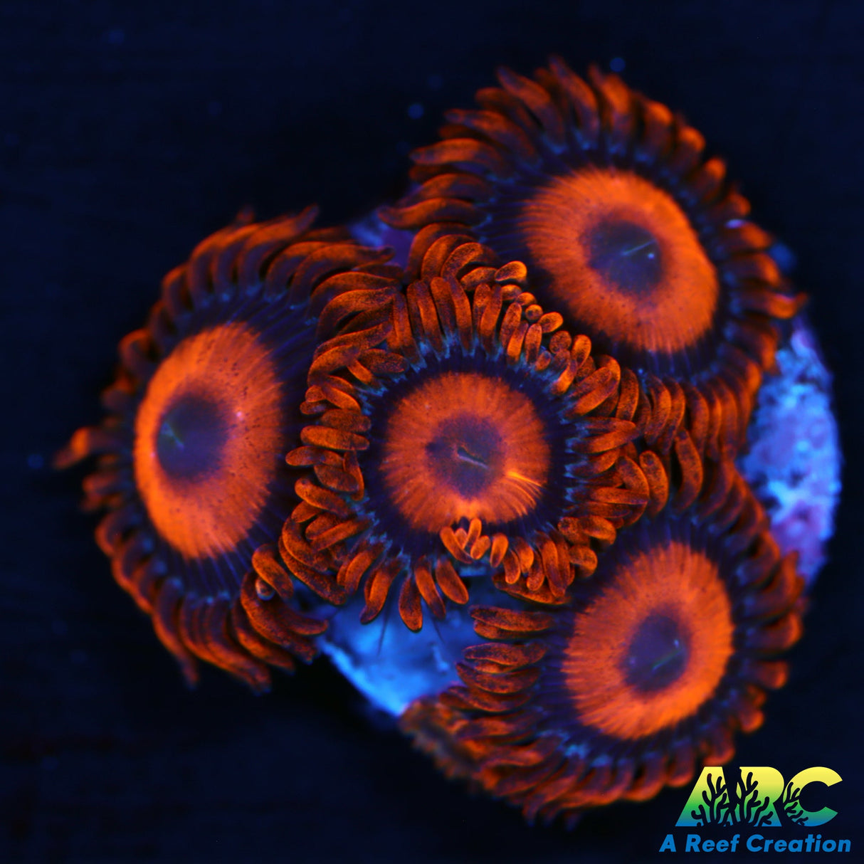 Orange Oxides