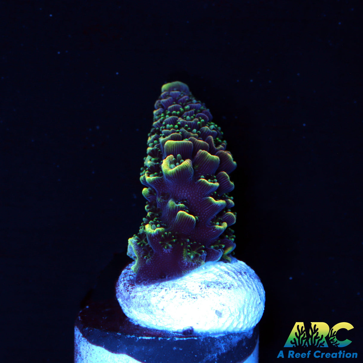 ARC Rainbow Spath