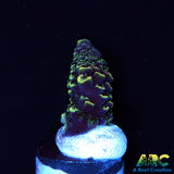 ARC Rainbow Spath