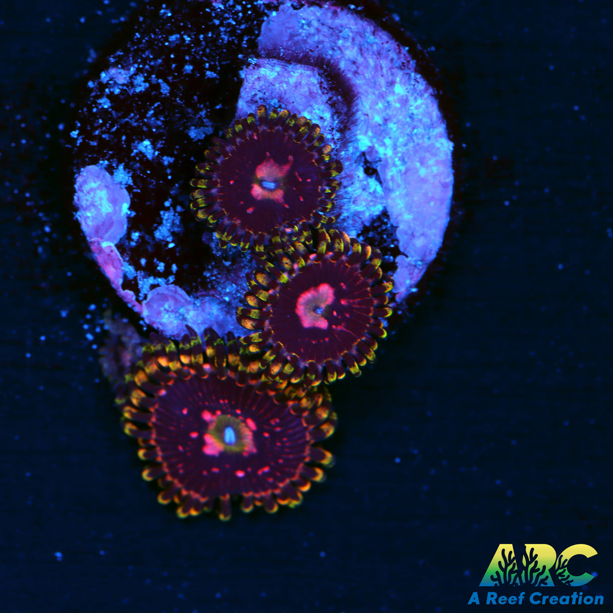Big R Space Chaos