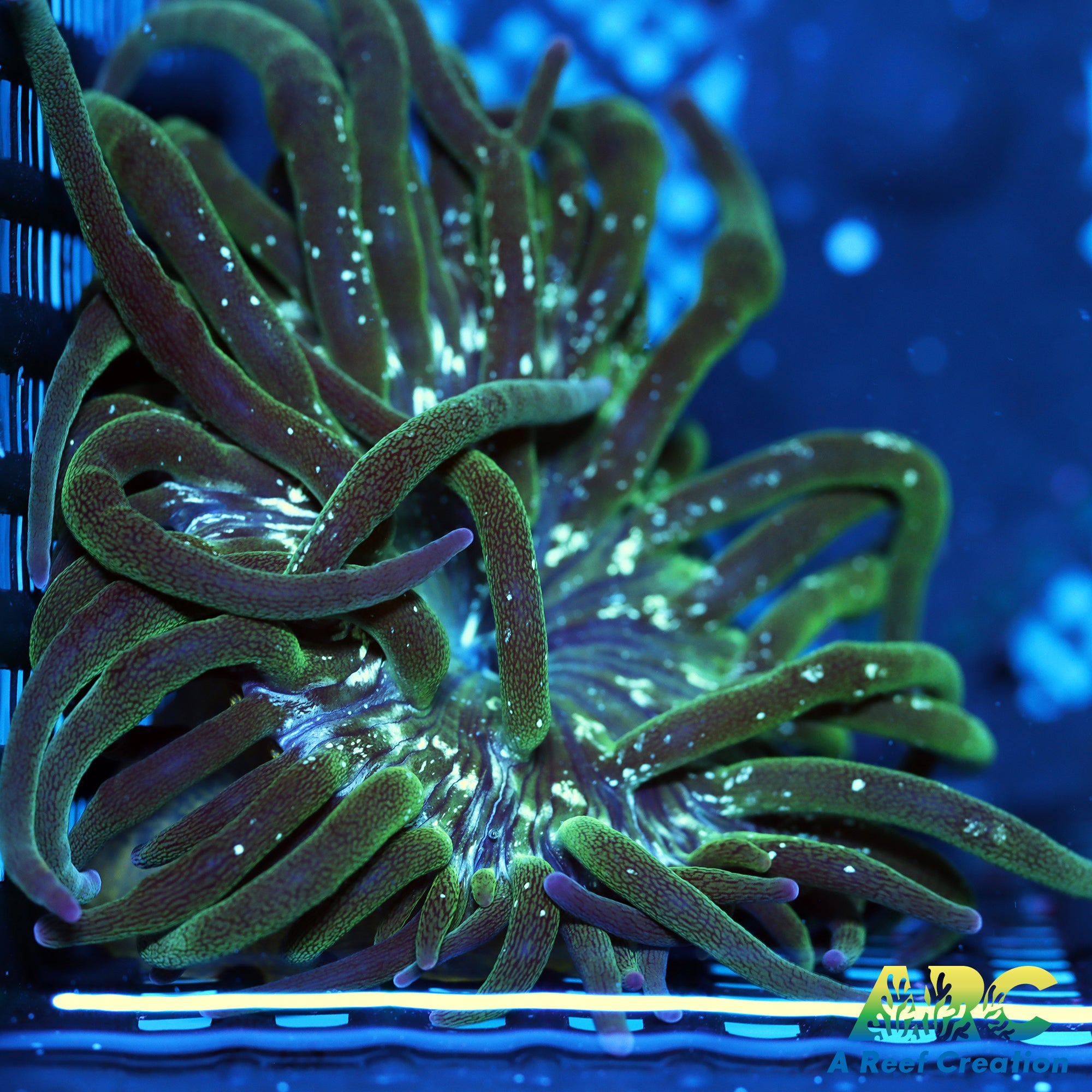 S-MARCH23-0564_fd6d56f8-8744-