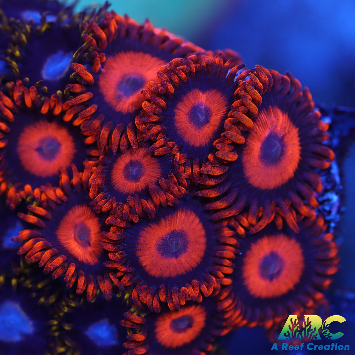 Orange Oxide