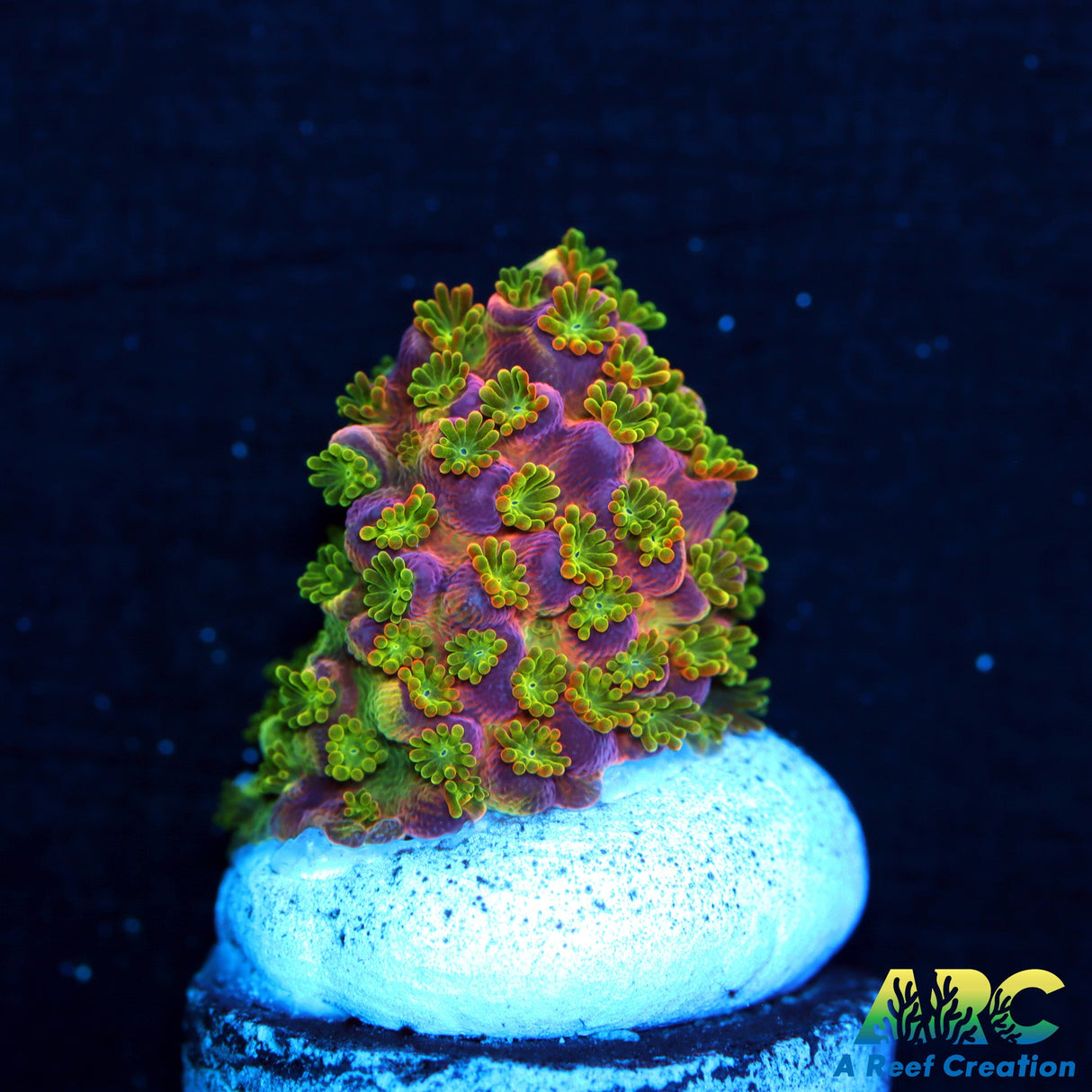 Sanjays Wrecking Ball