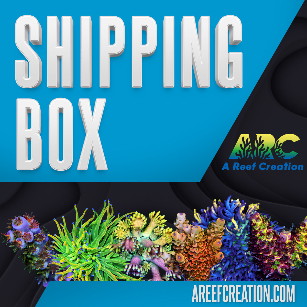 Shipping Box – A Reef Creation