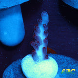 ARC Magic Dragon