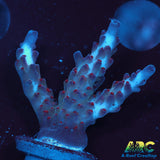 ARC Magic Dragon