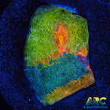 CCA Crayola Meltdown Chalice