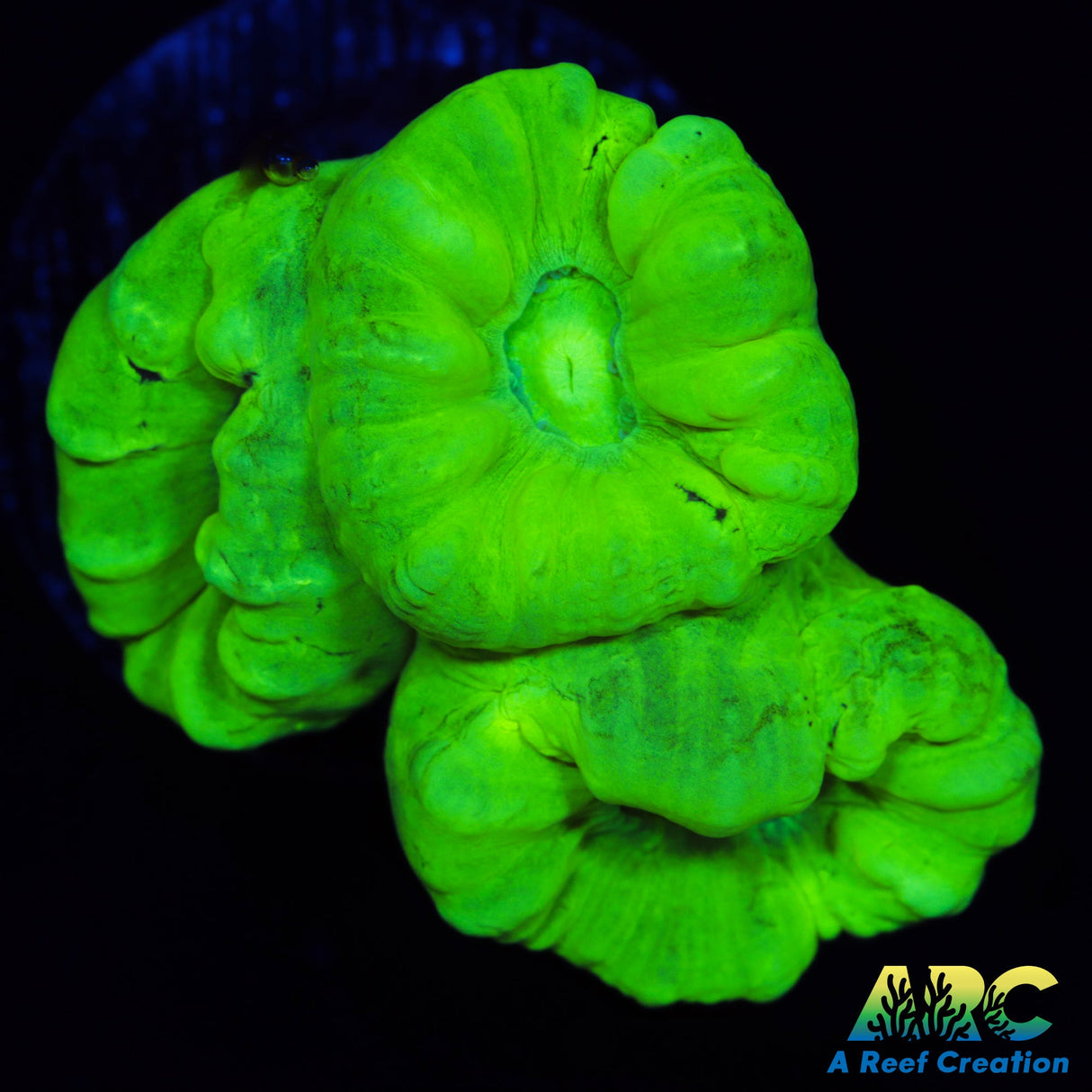 Kryptonite Candy