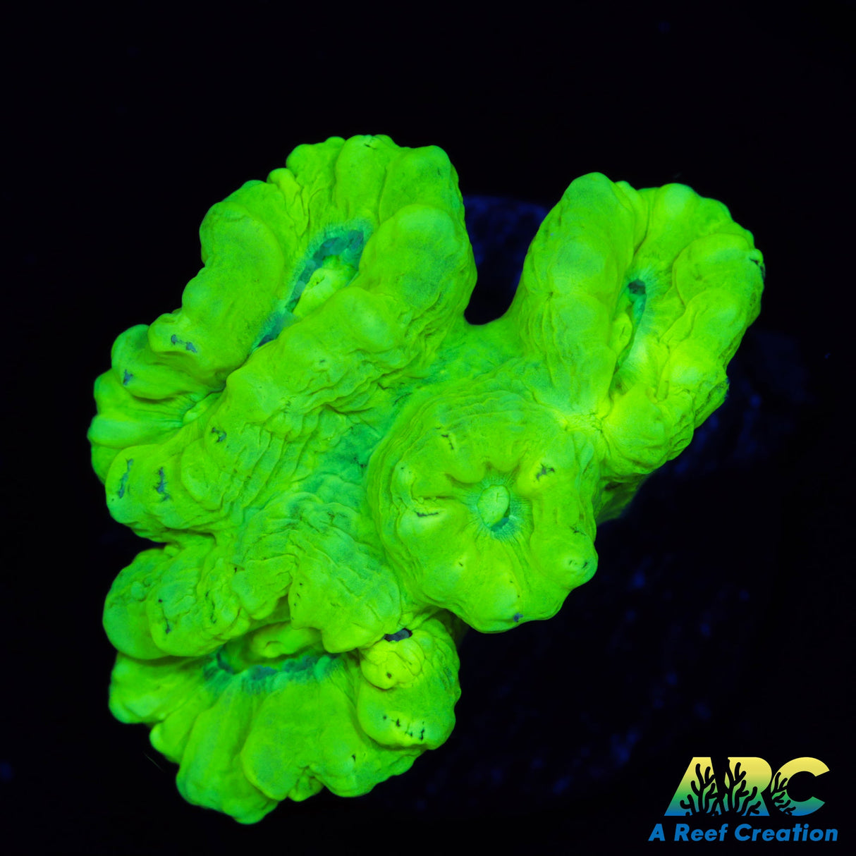 Kryptonite Candy