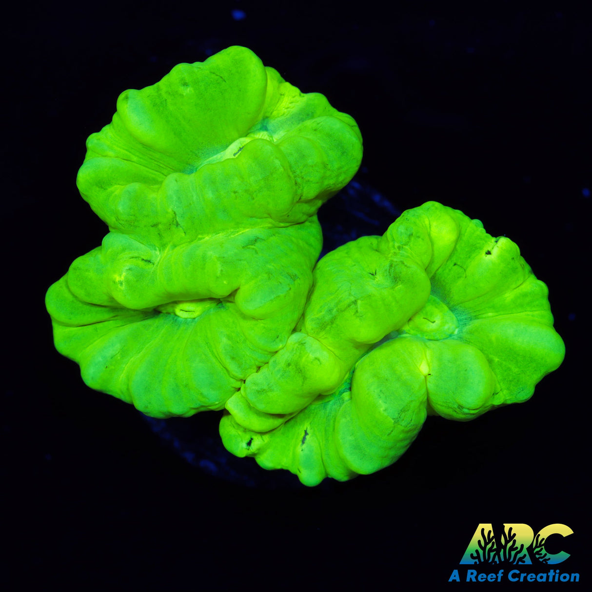 Kryptonite Candy