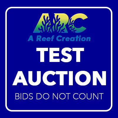 Test Auction 2